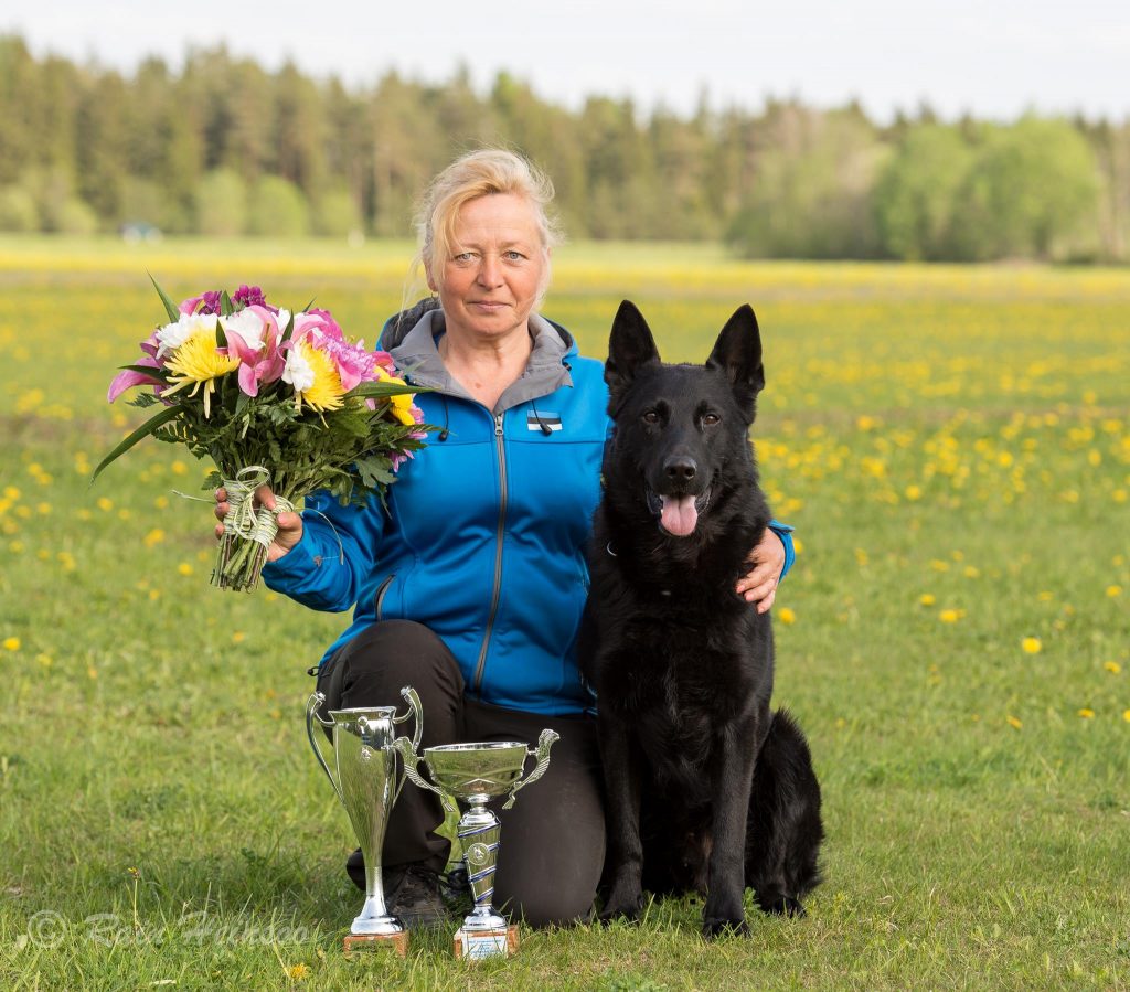 EST IPO CH ja FH CH Estrellest Kurimuri Kardinal (Estrellest Urmuri Kapral x Estrellest Wedru-Wurry) s.2010, om. Eve Pungas